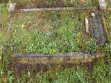 image of grave number 790525